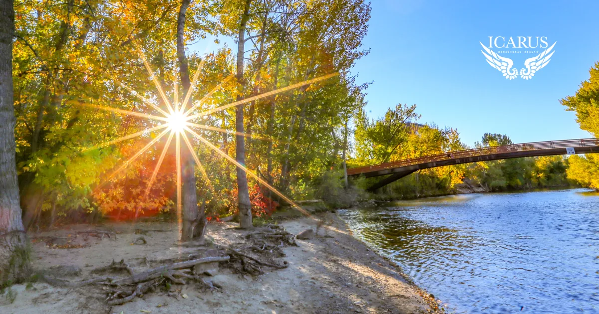 Icarus Wellness and Recovery business image
