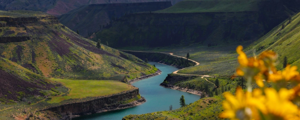 Image of a sober outdoor activity along the Boise River Greenbelt in the Garden City area
